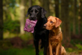 Essential Finest Sliced Lamb & Blackberry Hundgodis
