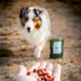 Essential Motivation Delights Hundgodis