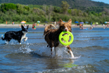 Frisbee i kraftig TPR Hundleksak