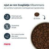 Pure Sensitive Adult Lamb & Rice Torrfoder till Hund