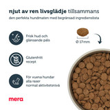Pure Sensitive Adult Salmon & Rice Torrfoder till Hund