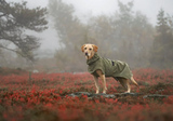 Ripple Regnjacka till Hund