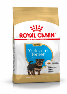 Yorkshire Terrier Puppy Torrfoder för hundvalp