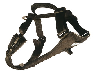 Multi Harness