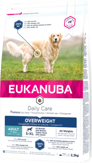 Dog Daily Care Overweight