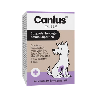 Canius Plus för obalans i hundens tarmflora
