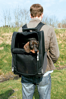 Transportväska för hund och katt