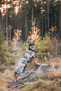 Reflekterande Vintertäcke, Camo