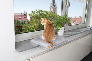 Fönsterbräda för katt