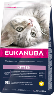 Cat Kitten Healthy Start