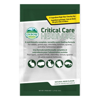 Critical Care Anis