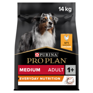 Medium Adult Everyday Nutrition hundfoder