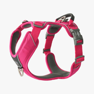 Comfort Walk Pro Hundsele