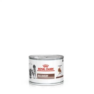 Gastrointestinal Recovery Ultra Soft Mousse In Can - hund & katt