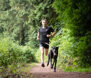 CaniX Belt Löpningsbälte