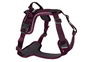 Ramble Harness