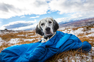 Sleeping Bag for Dogs