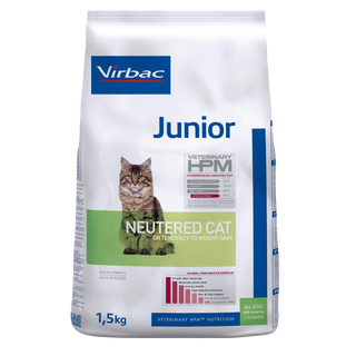 Junior Neutered Cat