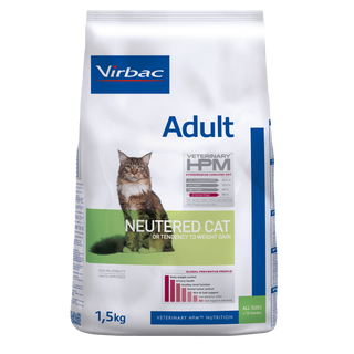 Adult Neutered Cat