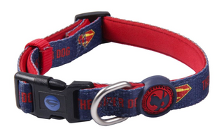 DC Comics Pets Premium Vadderat Hundhalsband