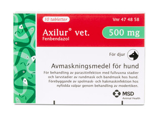 Axilur® vet. Tablett 500 mg, för Hundar