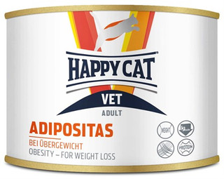 Vet Diet Adipositas Våtfoder för Katt
