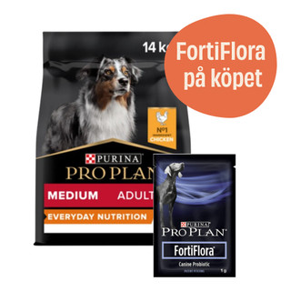 Medium Adult Everyday Nutrition hundfoder + 7-pack FortiFlora