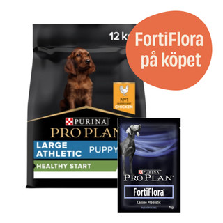 Large Athletic Puppy Healthy Start Torrfoder med Kyckling + 7-pack FortiFlora