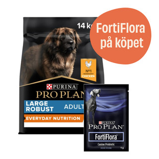 Large Robust Adult Everyday Nutrition hundfoder + 7-pack FortiFlora