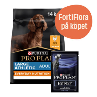 Large Adult Athletic Everyday Nutrition hundfoder + 7-pack FortiFlora