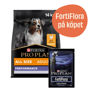 Adult Performance Chicken hundfoder + 7-pack FortiFlora