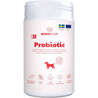 Probiotic Tuggtablett