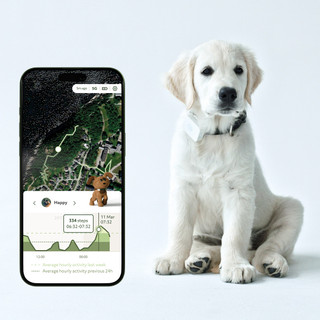 LilDog 2 GPS-Tracker till Hund
