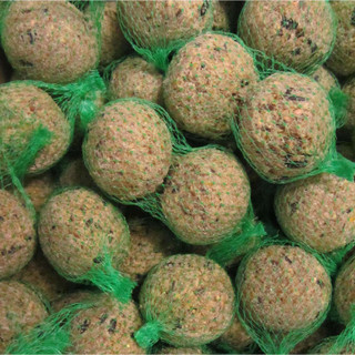 Talgbollar med nät till Viltfågel