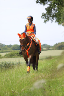 Equi-Flector Reflex Hjälmband