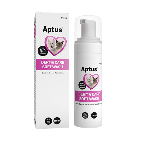 Derma Care Soft Wash
