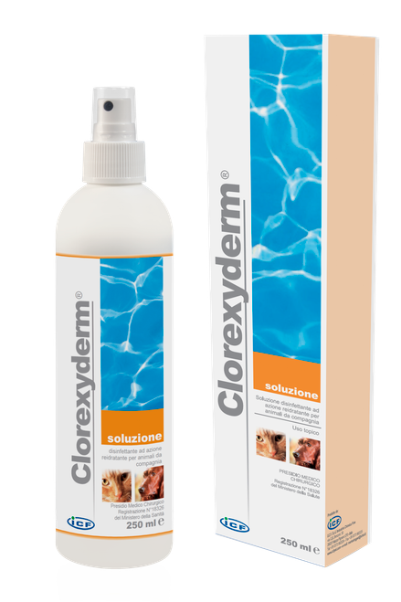 ICF Clorexyderm rengörande spray