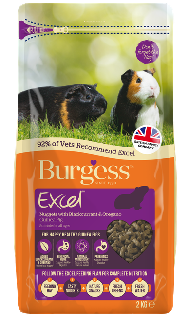 Excel Oregano & Svarta Vinbär Marsvinsfoder