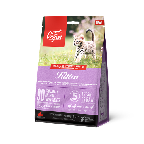 Cat Kitten Formula Torrfoder
