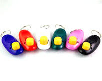Clicker "i-click"