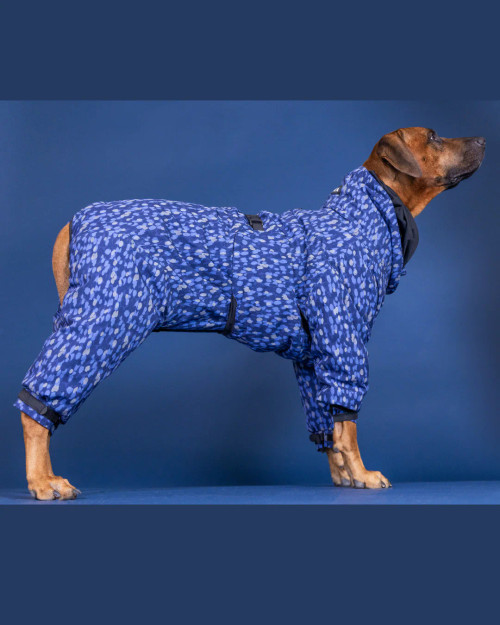 Vinteroverall till hund, blå