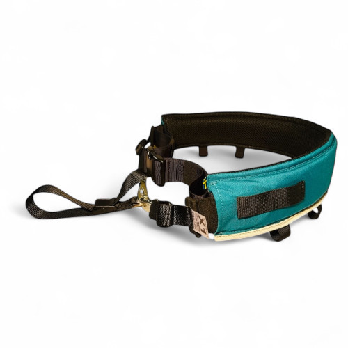 Softbelt Asera till Hund
