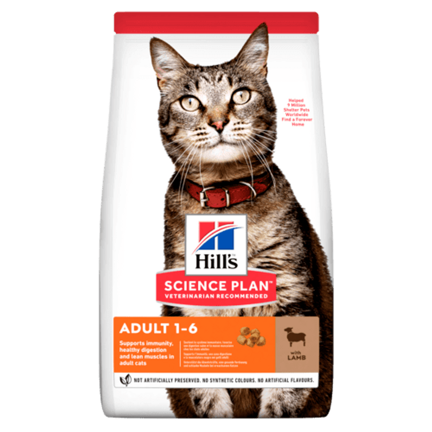 Adult torrfoder med lamm och ris för katt