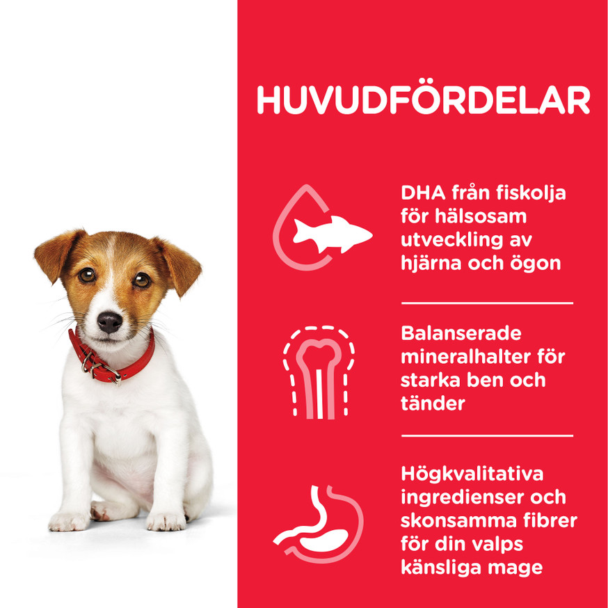 Puppy Small & Mini torrfoder med kyckling Hundfoder