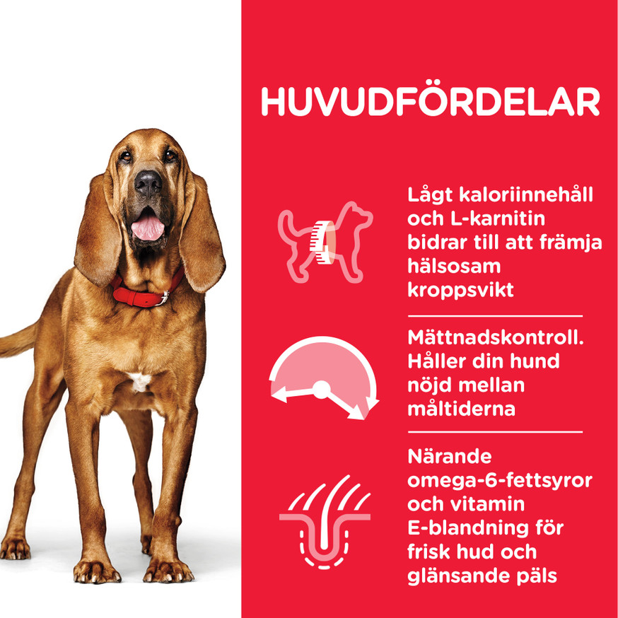 Mature Adult Light Medium torrfoder med kyckling Hundfoder