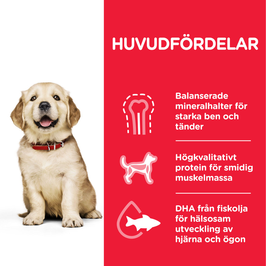 Puppy Large Breed torrfoder med kyckling