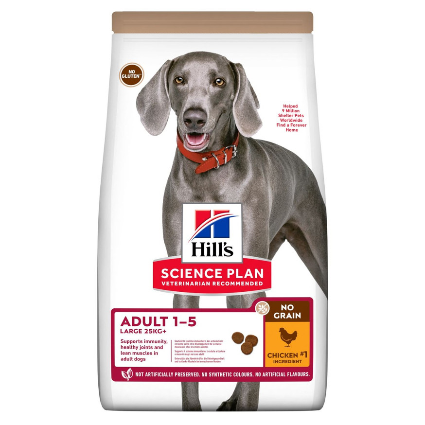 Adult Large Breed No Grain torrfoder med kyckling Hundfoder