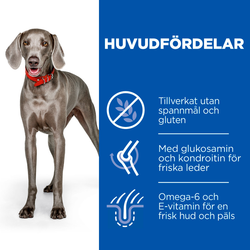 Adult Large Breed No Grain torrfoder med kyckling Hundfoder