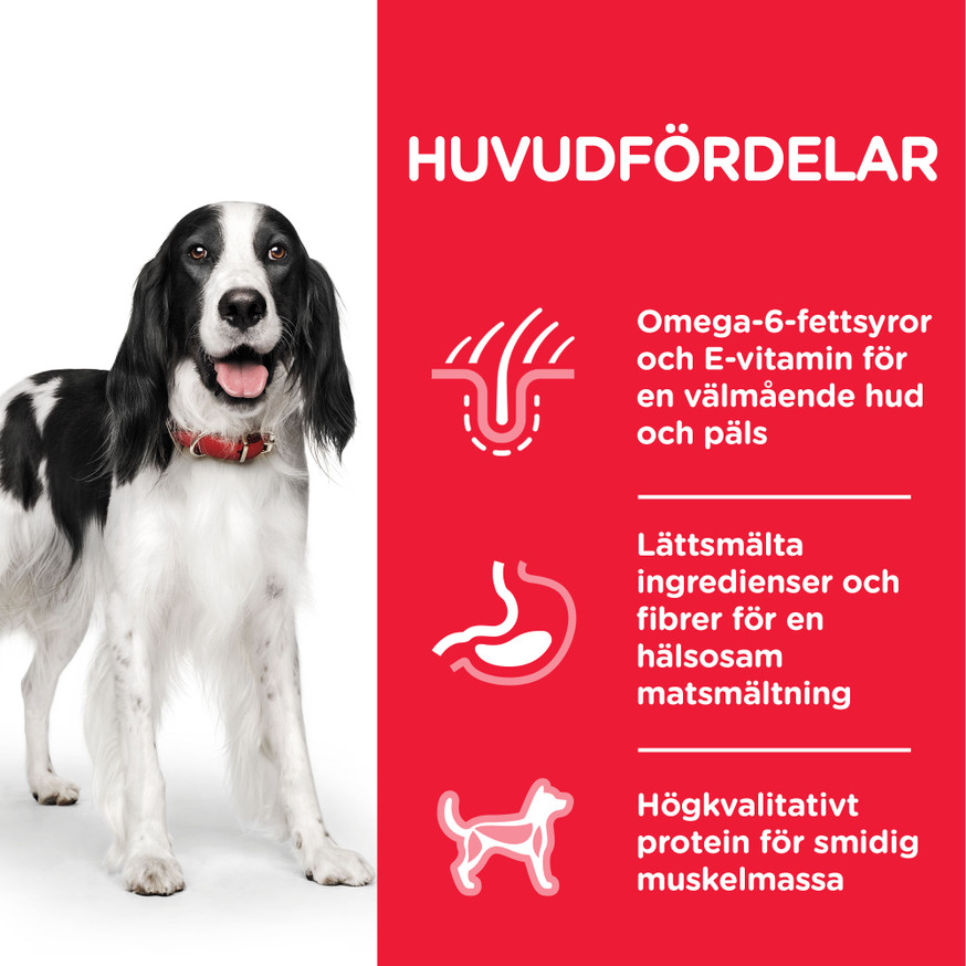 Adult våtfoder med kalkon för hund