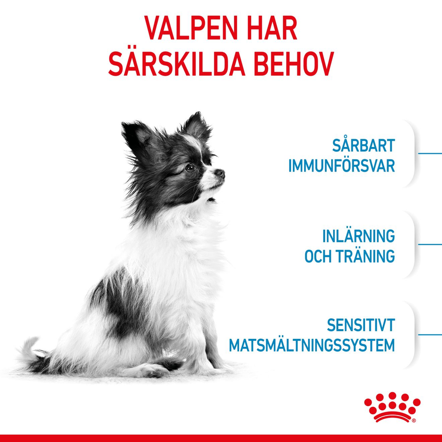 X-Small Puppy Torrfoder för hundvalp